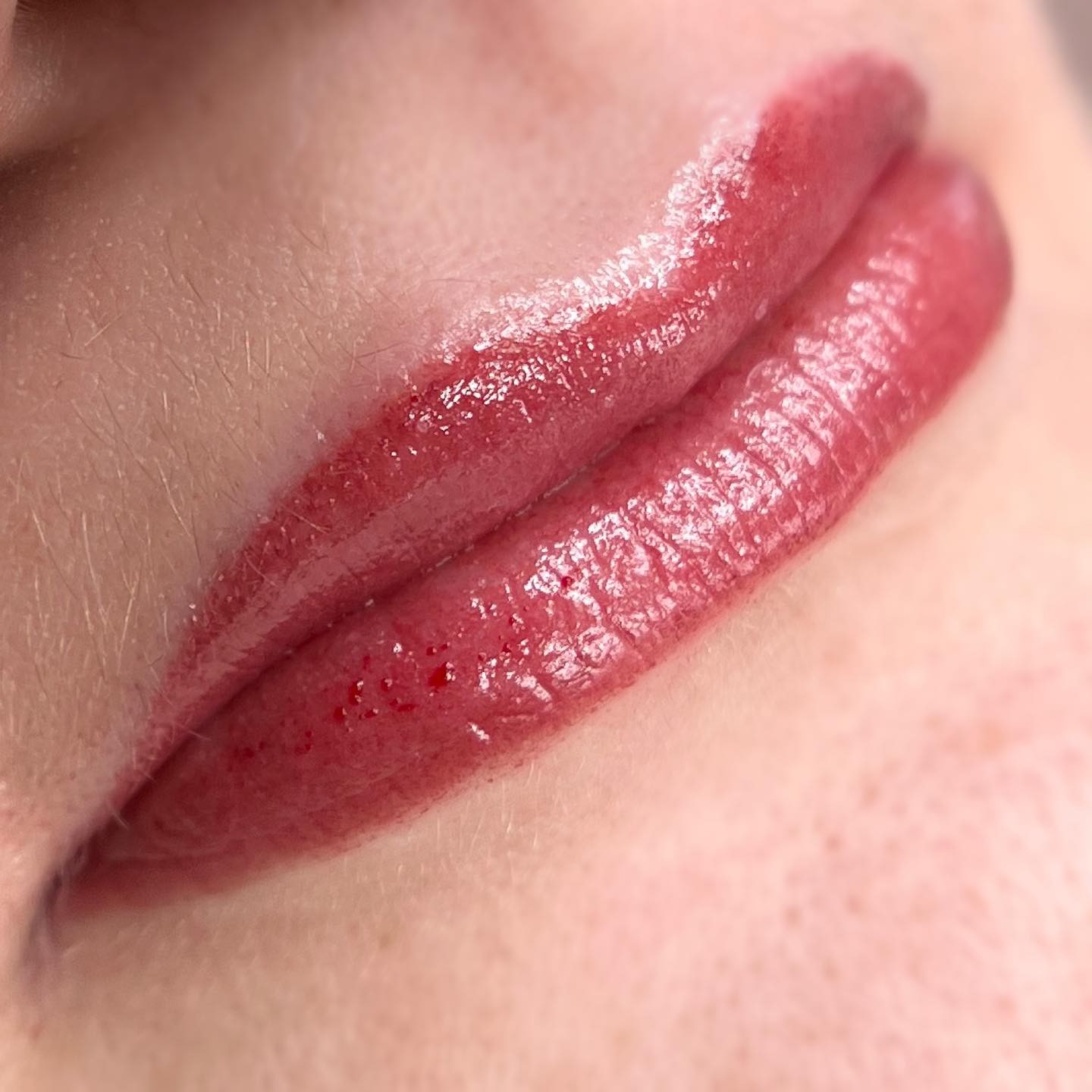 Lip blush in nude tones. ➡️ did you know that lip tattoos fade 50-60% during the healing process‼️ So this color will fade into a lovely fleshy tone. 
Lip Tattoo 
❇️ stay put color
❇️ defines lip shape
❇️ brings back color to white/ clear lips
❇️ looks pretty 🤩 
Book on winkandinked.com or call me for a more in-depth conversation. 
💋💋💋💋💋💋💋💋💋💋💋💋
#nhwinkbabe #winkandinked #nhbrows #nhbrowsalon #derrynh #derrybrows #derryblogger #nhblogger #nhsalon #nhbrowspecialist #nhbrowartist #nheyelinertattoo #nhbrowtattoo #microbladingnh #nhmicroblading #browsnh #manchesternh #nashuanh #nhfashion #nhliptattoo #nhtattoo #cosmetictattoonh #nhwinkbrows #nhpermanentmakeup #newhampshire #603brows #nhpowderbrows #nhmakeupartist #nhmakeup #nhlashes